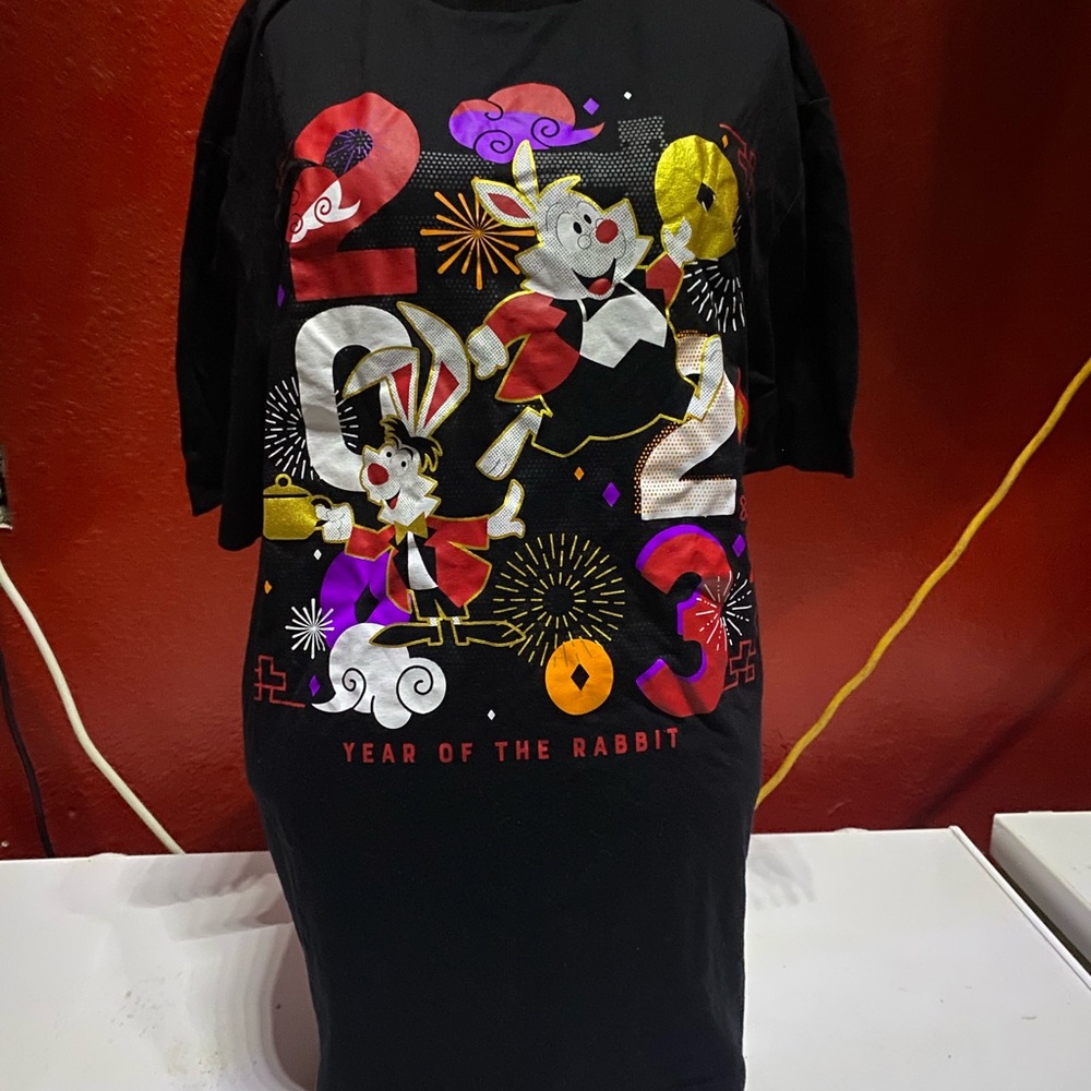 New Never Been Worn Disney Year Of The Rabbit Shirt